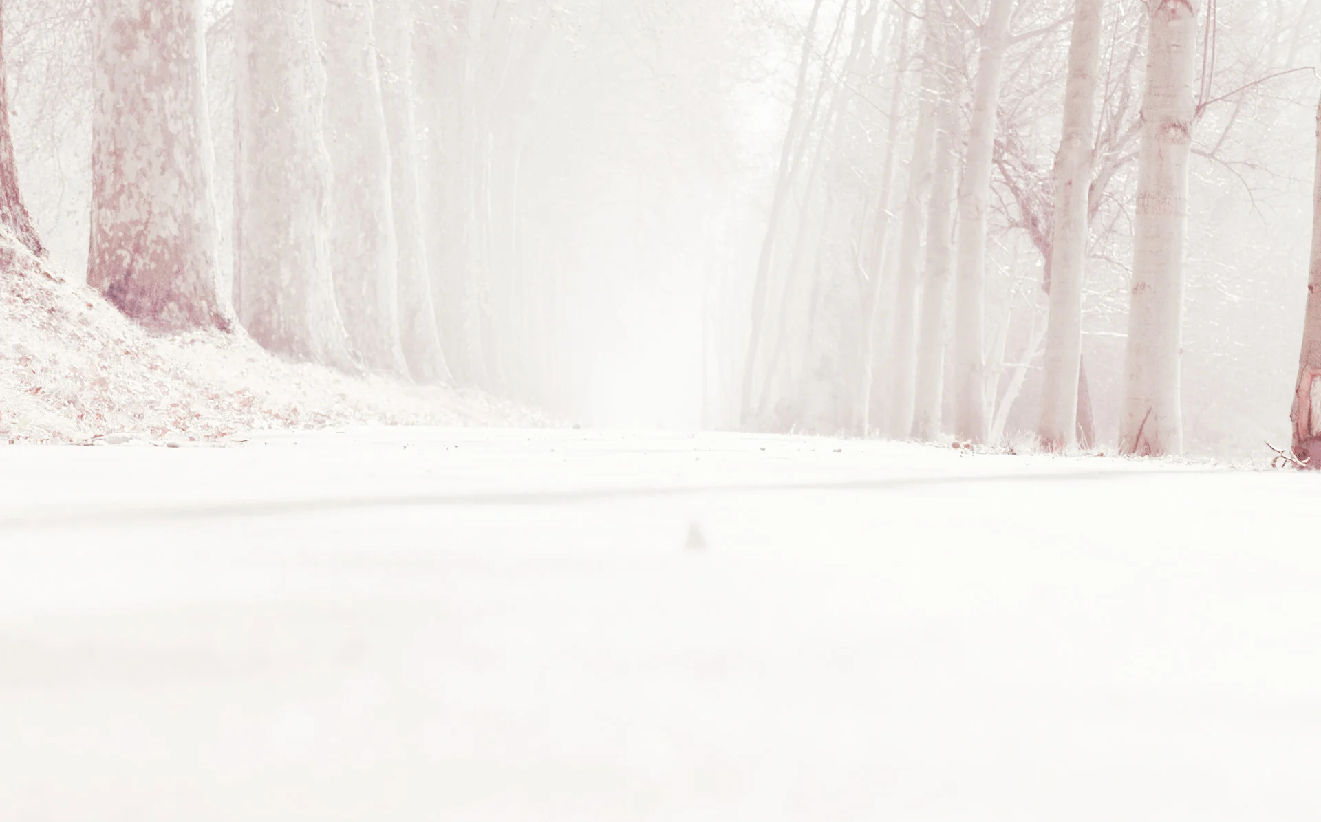 Random background Image